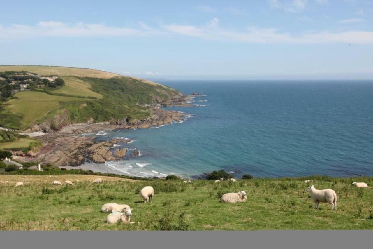 Polmear Harbour View With Terrace Leilighet Looe Eksteriør bilde
